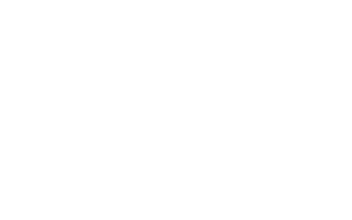 Neuro Avatar